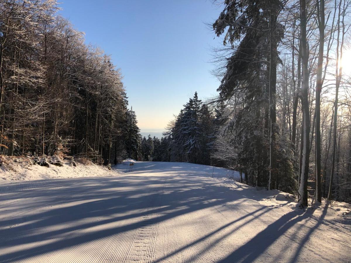 Chalet Anra Pohorje Zgornje Hoce 外观 照片