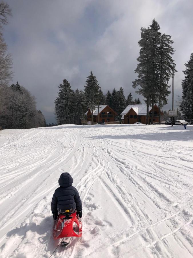 Chalet Anra Pohorje Zgornje Hoce 外观 照片