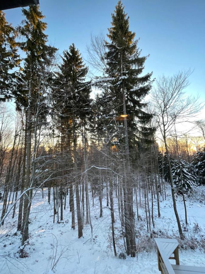 Chalet Anra Pohorje Zgornje Hoce 外观 照片