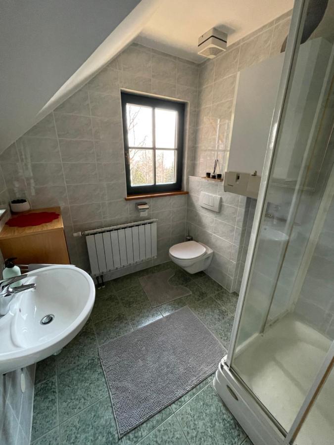 Chalet Anra Pohorje Zgornje Hoce 外观 照片