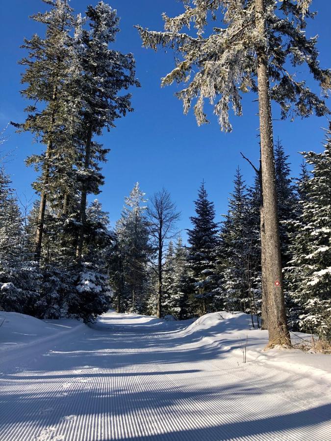 Chalet Anra Pohorje Zgornje Hoce 外观 照片