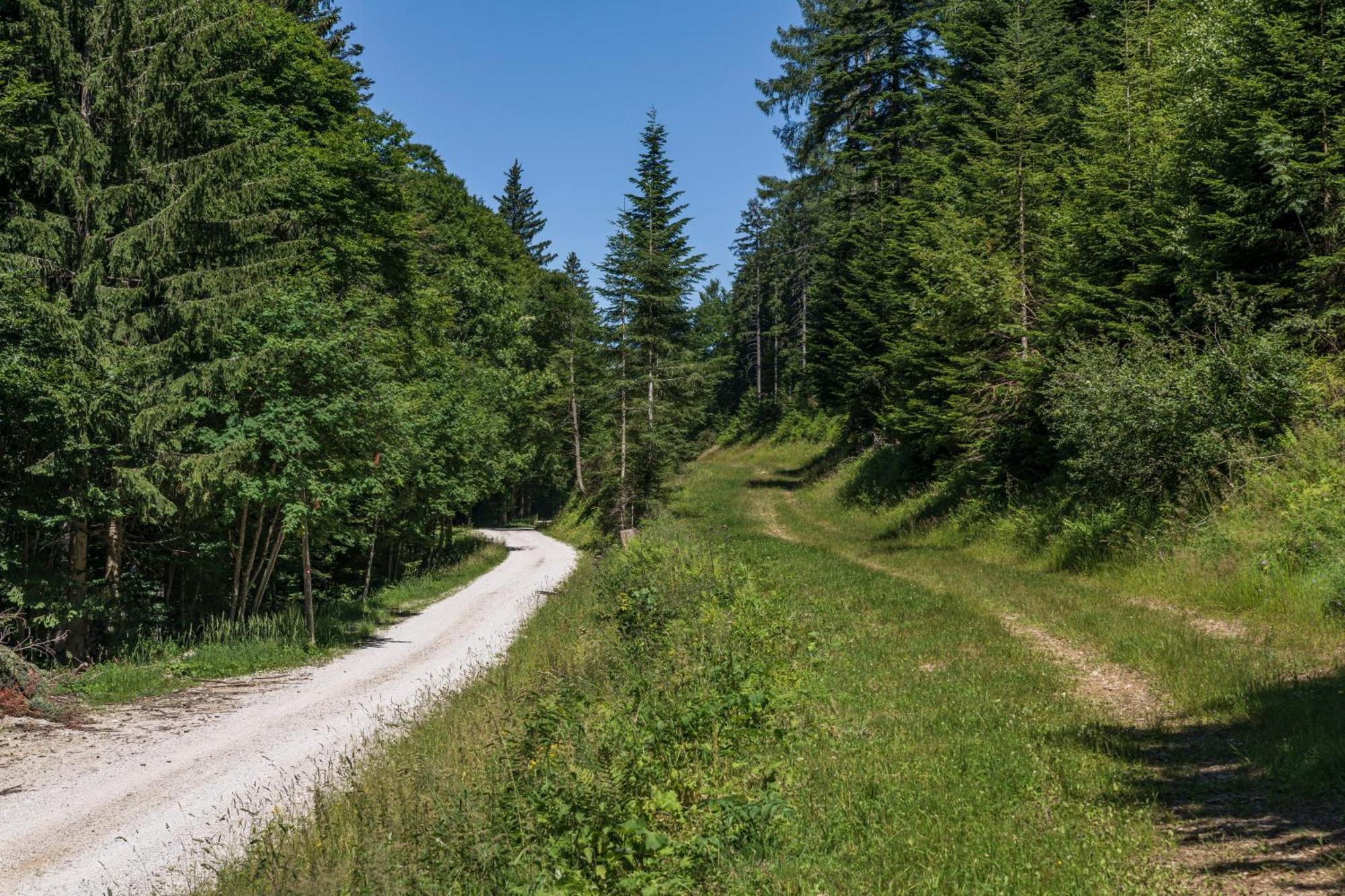Chalet Anra Pohorje Zgornje Hoce 外观 照片